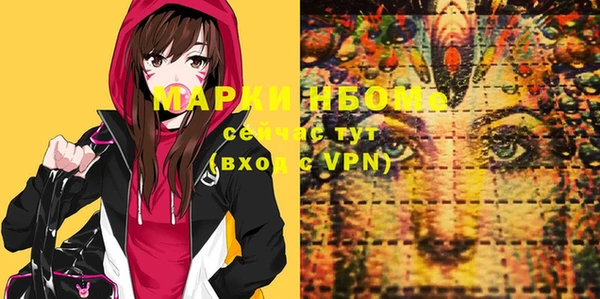 индика Аркадак