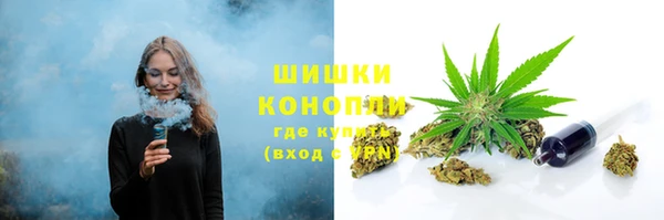 индика Аркадак
