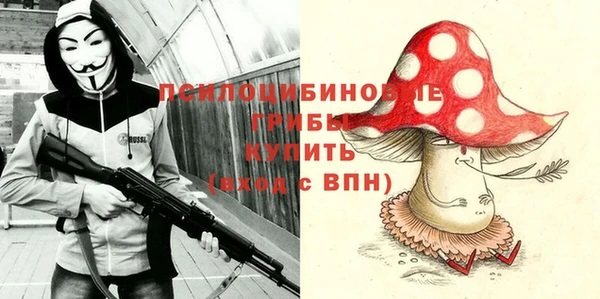 гидра Армянск