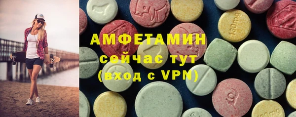 индика Аркадак