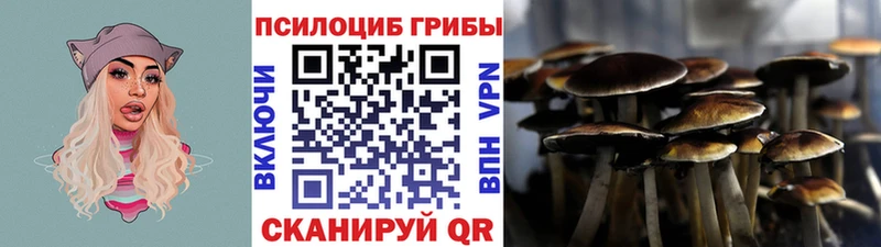 Галлюциногенные грибы ЛСД мега маркетплейс Вельск где продают наркотики