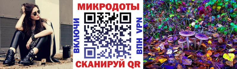 Галлюциногенные грибы ЛСД Вельск